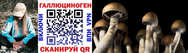 Галлюциногенные грибы ЛСД  Тетюши 